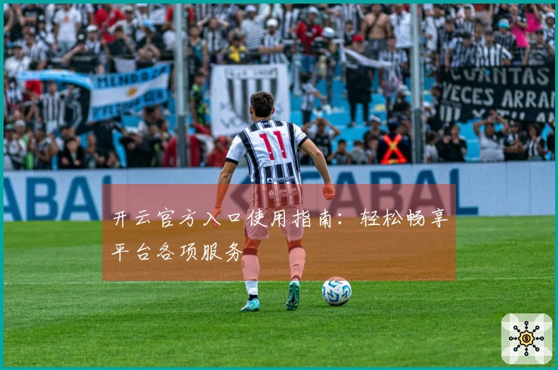 开云官方入口使用指南：轻松畅享平台各项服务